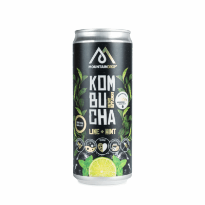 kombucha-with-shilajit