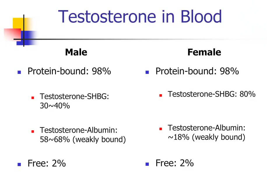 Testosterone