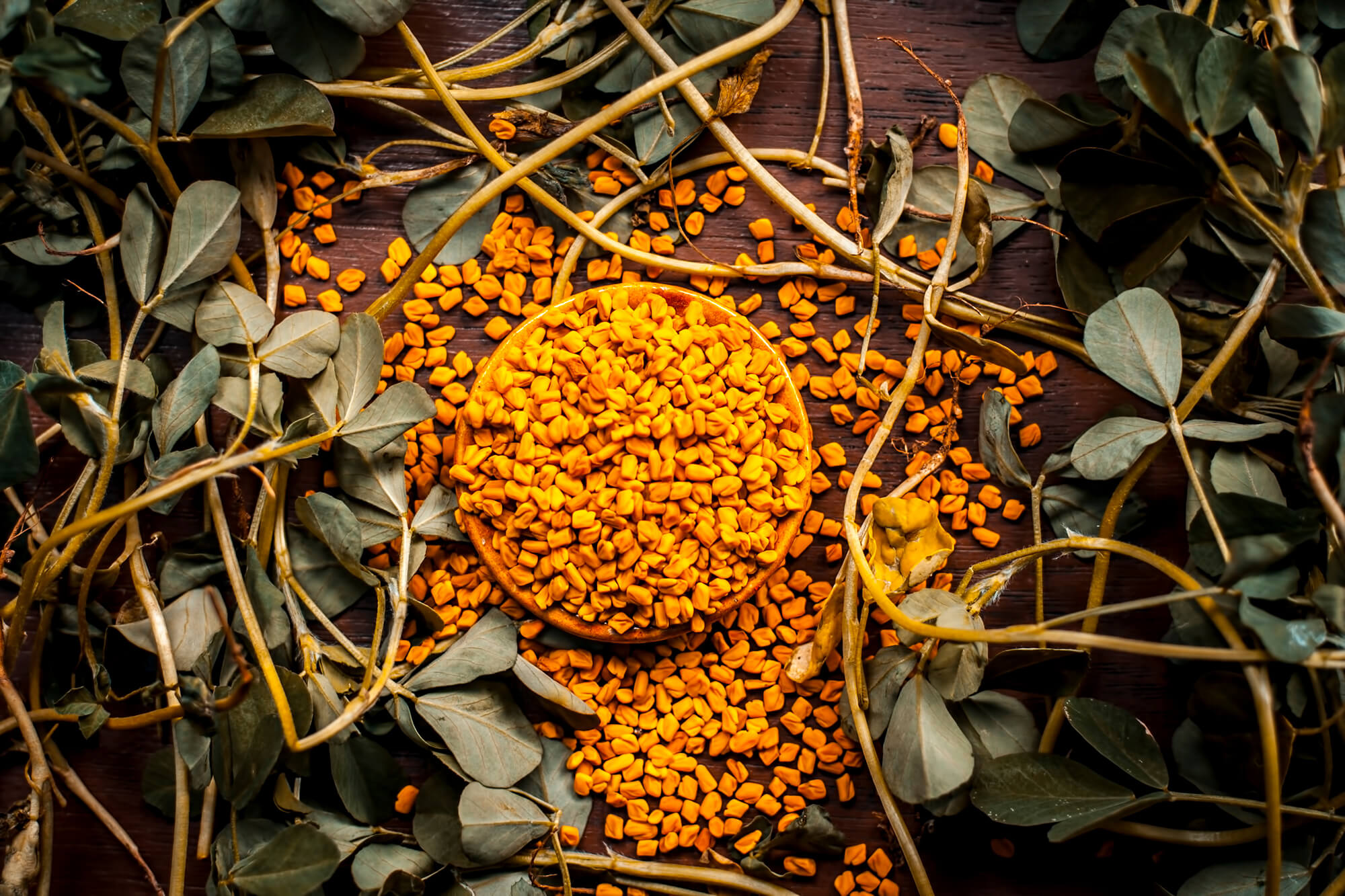 Fenugreek