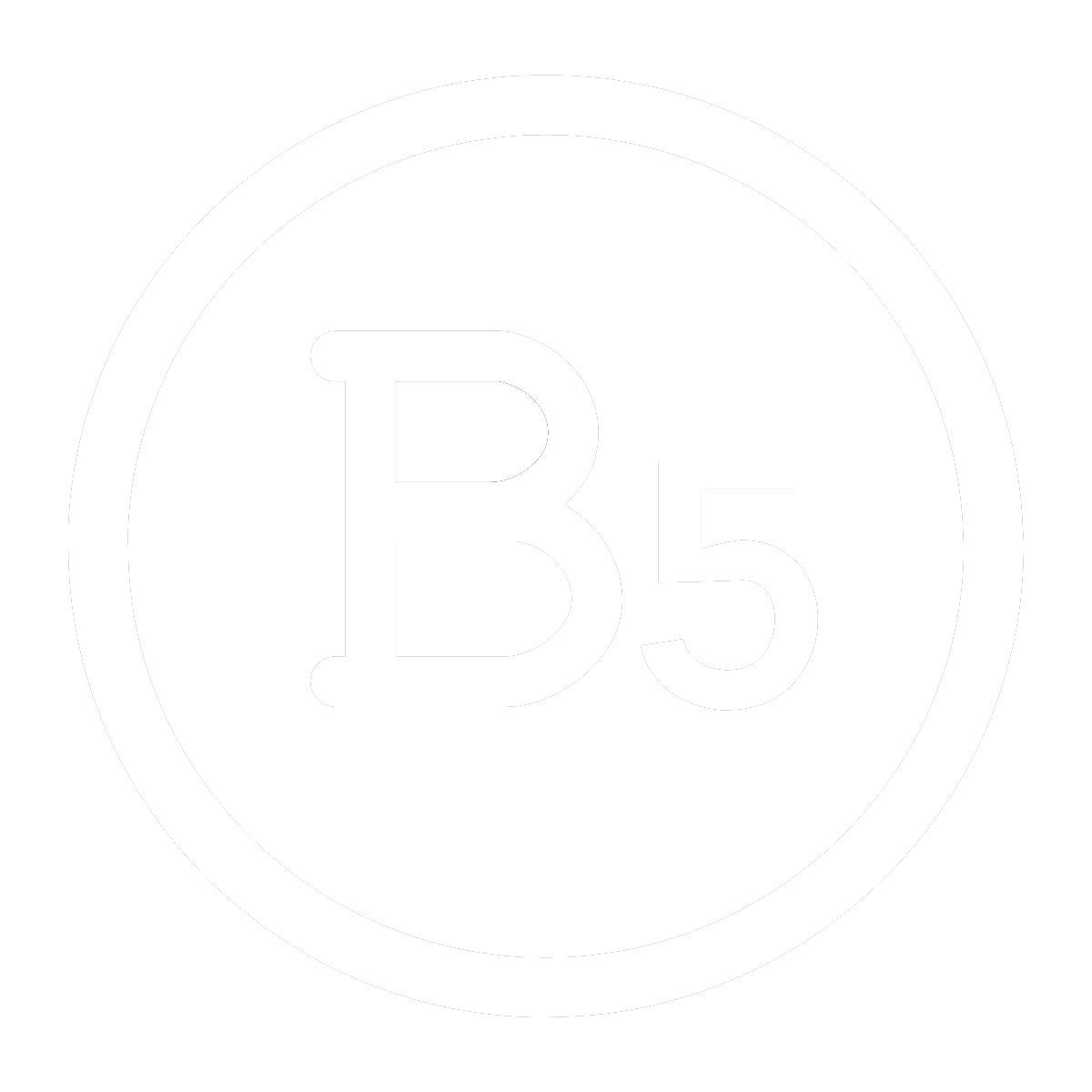 b5